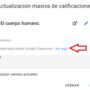 detalles_actividad_de_classroom.png
